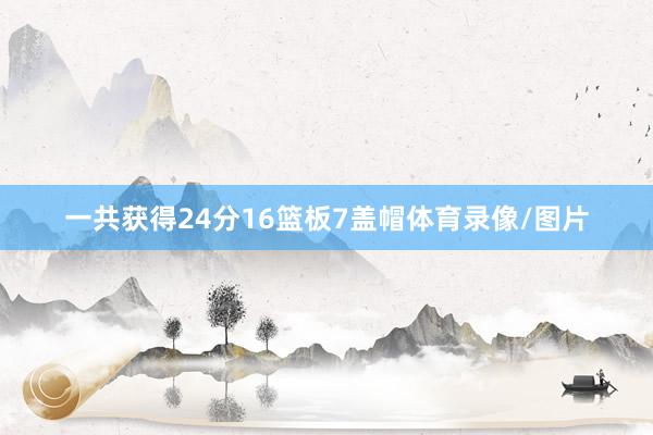一共获得24分16篮板7盖帽体育录像/图片