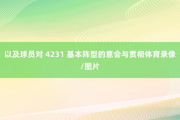以及球员对 4231 基本阵型的意会与贯彻体育录像/图片