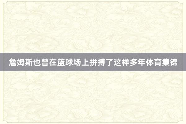 詹姆斯也曾在篮球场上拼搏了这样多年体育集锦