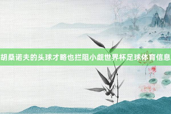 胡桑诺夫的头球才略也拦阻小觑世界杯足球体育信息