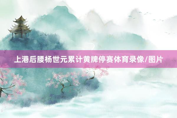 上港后腰杨世元累计黄牌停赛体育录像/图片
