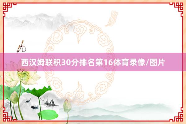 西汉姆联积30分排名第16体育录像/图片