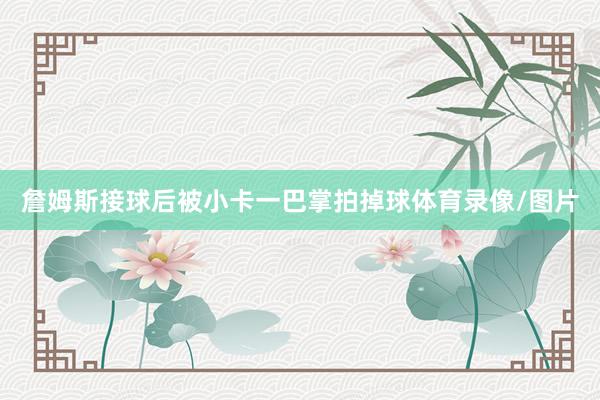 詹姆斯接球后被小卡一巴掌拍掉球体育录像/图片