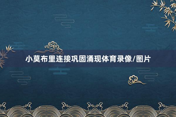 小莫布里连接巩固涌现体育录像/图片