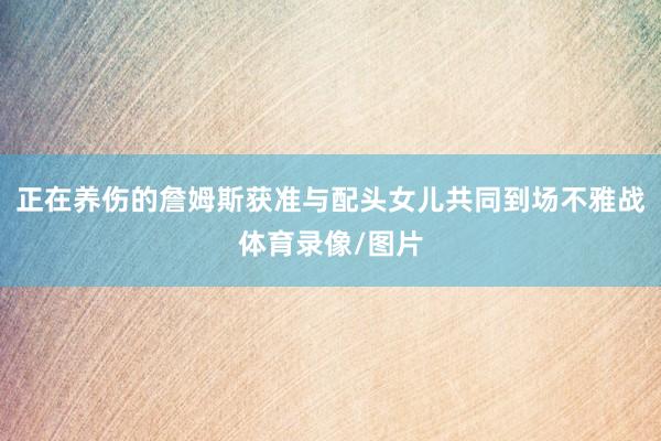 正在养伤的詹姆斯获准与配头女儿共同到场不雅战体育录像/图片