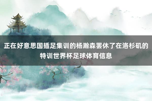 正在好意思国插足集训的杨瀚森罢休了在洛杉矶的特训世界杯足球体育信息