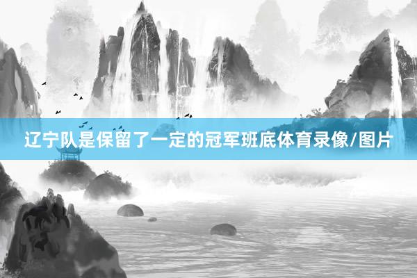 辽宁队是保留了一定的冠军班底体育录像/图片
