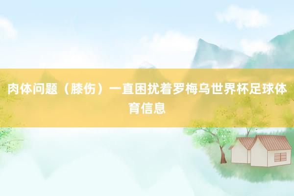 肉体问题（膝伤）一直困扰着罗梅乌世界杯足球体育信息