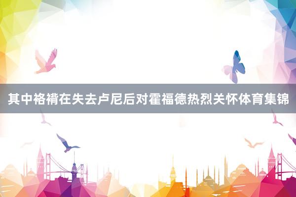 其中袼褙在失去卢尼后对霍福德热烈关怀体育集锦