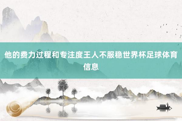他的费力过程和专注度王人不服稳世界杯足球体育信息