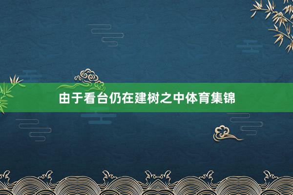 由于看台仍在建树之中体育集锦