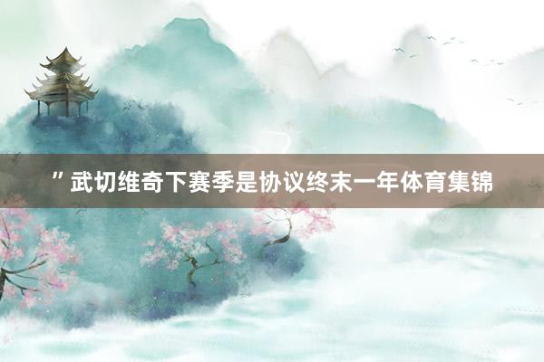 ”武切维奇下赛季是协议终末一年体育集锦