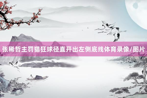 张稀哲主罚猖狂球径直开出左侧底线体育录像/图片