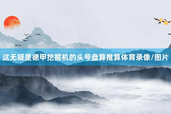 这无疑是德甲挖掘机的头号盘算推算体育录像/图片