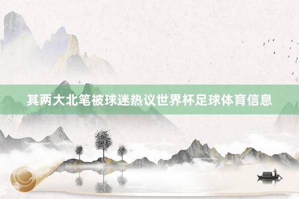 其两大北笔被球迷热议世界杯足球体育信息
