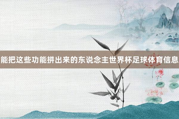 能把这些功能拼出来的东说念主世界杯足球体育信息