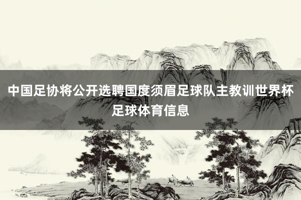 中国足协将公开选聘国度须眉足球队主教训世界杯足球体育信息