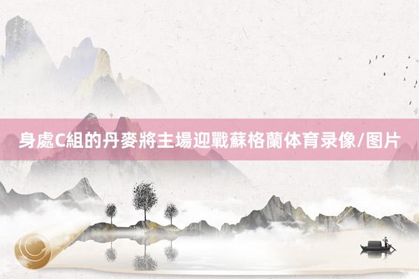 身處C組的丹麥將主場迎戰蘇格蘭体育录像/图片