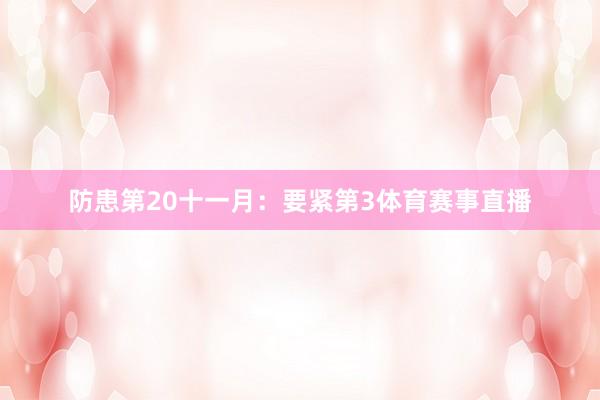 防患第20十一月：要紧第3体育赛事直播