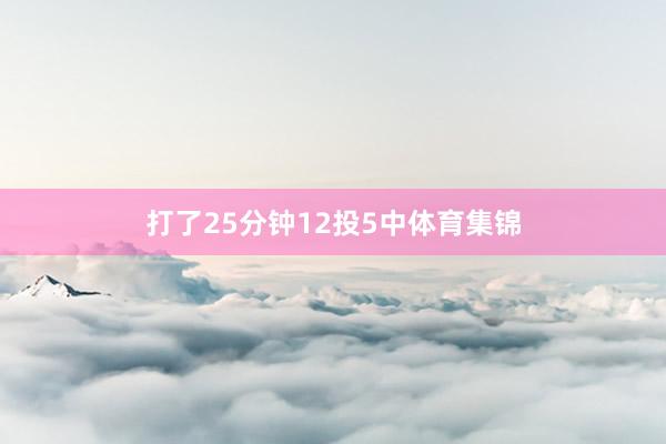 打了25分钟12投5中体育集锦