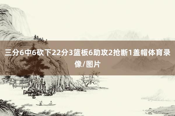 三分6中6砍下22分3篮板6助攻2抢断1盖帽体育录像/图片
