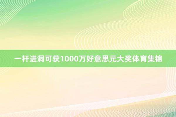 一杆进洞可获1000万好意思元大奖体育集锦