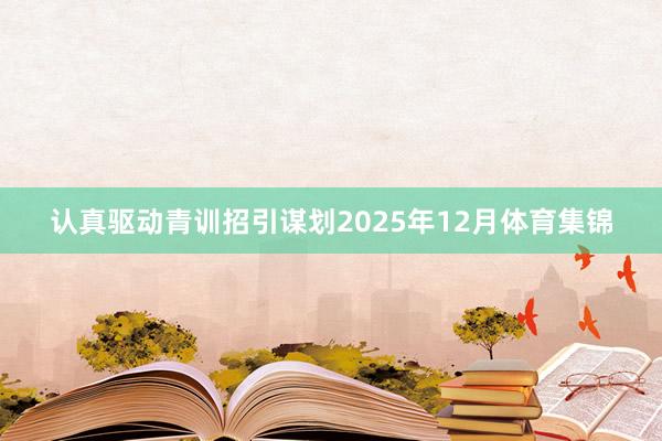认真驱动青训招引谋划　　2025年12月体育集锦