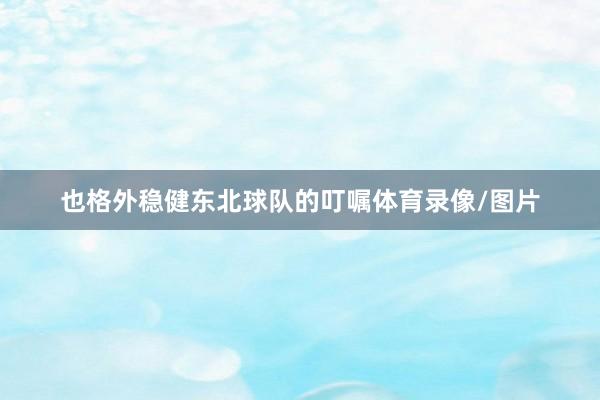 也格外稳健东北球队的叮嘱体育录像/图片