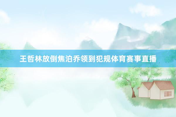 王哲林放倒焦泊乔领到犯规体育赛事直播