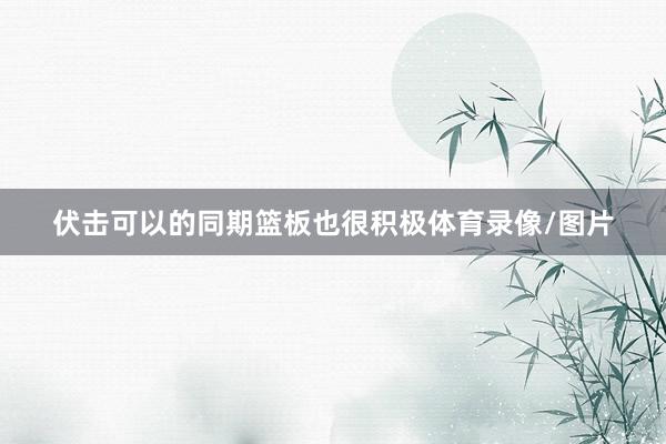 伏击可以的同期篮板也很积极体育录像/图片