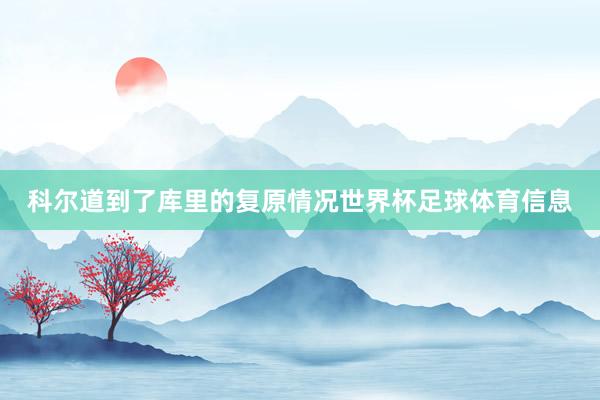 科尔道到了库里的复原情况世界杯足球体育信息