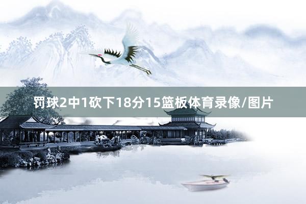 罚球2中1砍下18分15篮板体育录像/图片
