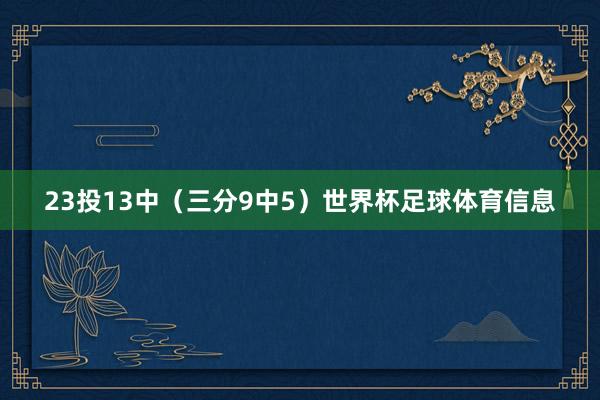 23投13中（三分9中5）世界杯足球体育信息