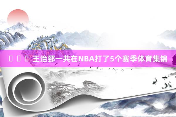 ​​​王治郅一共在NBA打了5个赛季体育集锦