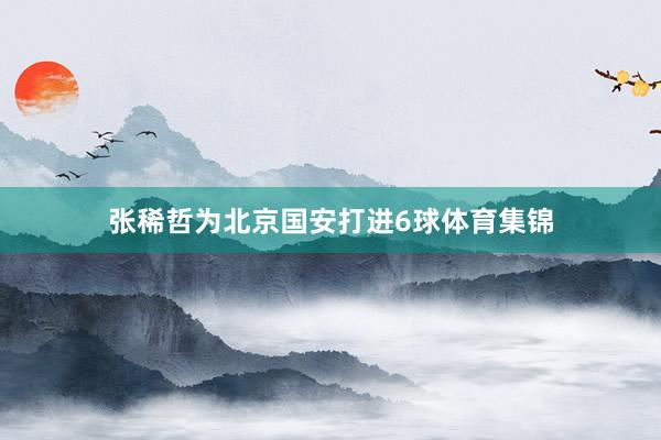 张稀哲为北京国安打进6球体育集锦