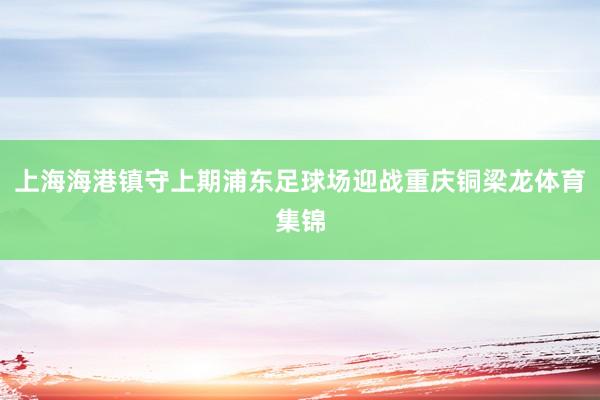 上海海港镇守上期浦东足球场迎战重庆铜梁龙体育集锦