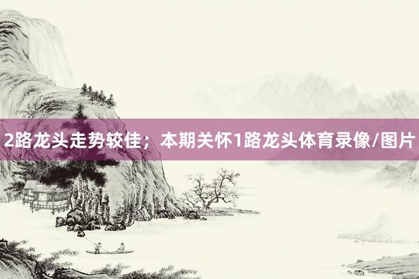 2路龙头走势较佳；本期关怀1路龙头体育录像/图片