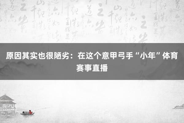 原因其实也很陋劣：在这个意甲弓手“小年”体育赛事直播
