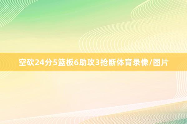空砍24分5篮板6助攻3抢断体育录像/图片