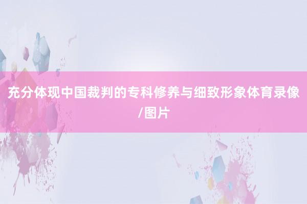 充分体现中国裁判的专科修养与细致形象体育录像/图片