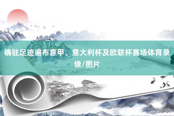 确驻足迹遍布意甲、意大利杯及欧联杯赛场体育录像/图片