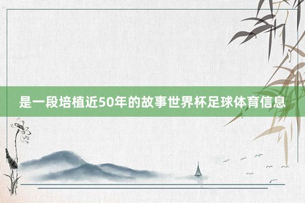 是一段培植近50年的故事世界杯足球体育信息