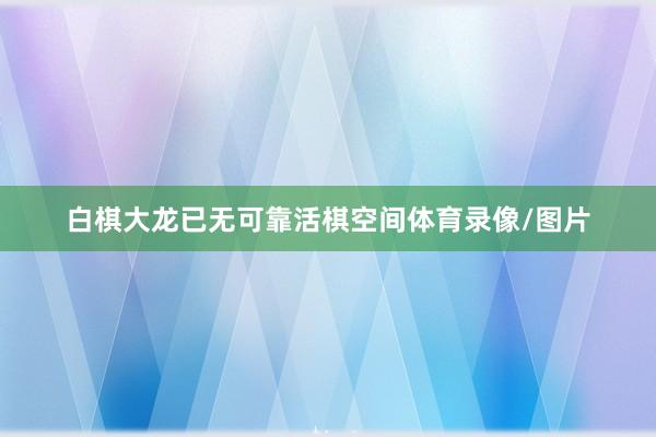 白棋大龙已无可靠活棋空间体育录像/图片