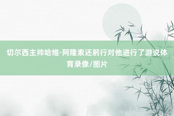 切尔西主帅哈维·阿隆索还躬行对他进行了游说体育录像/图片